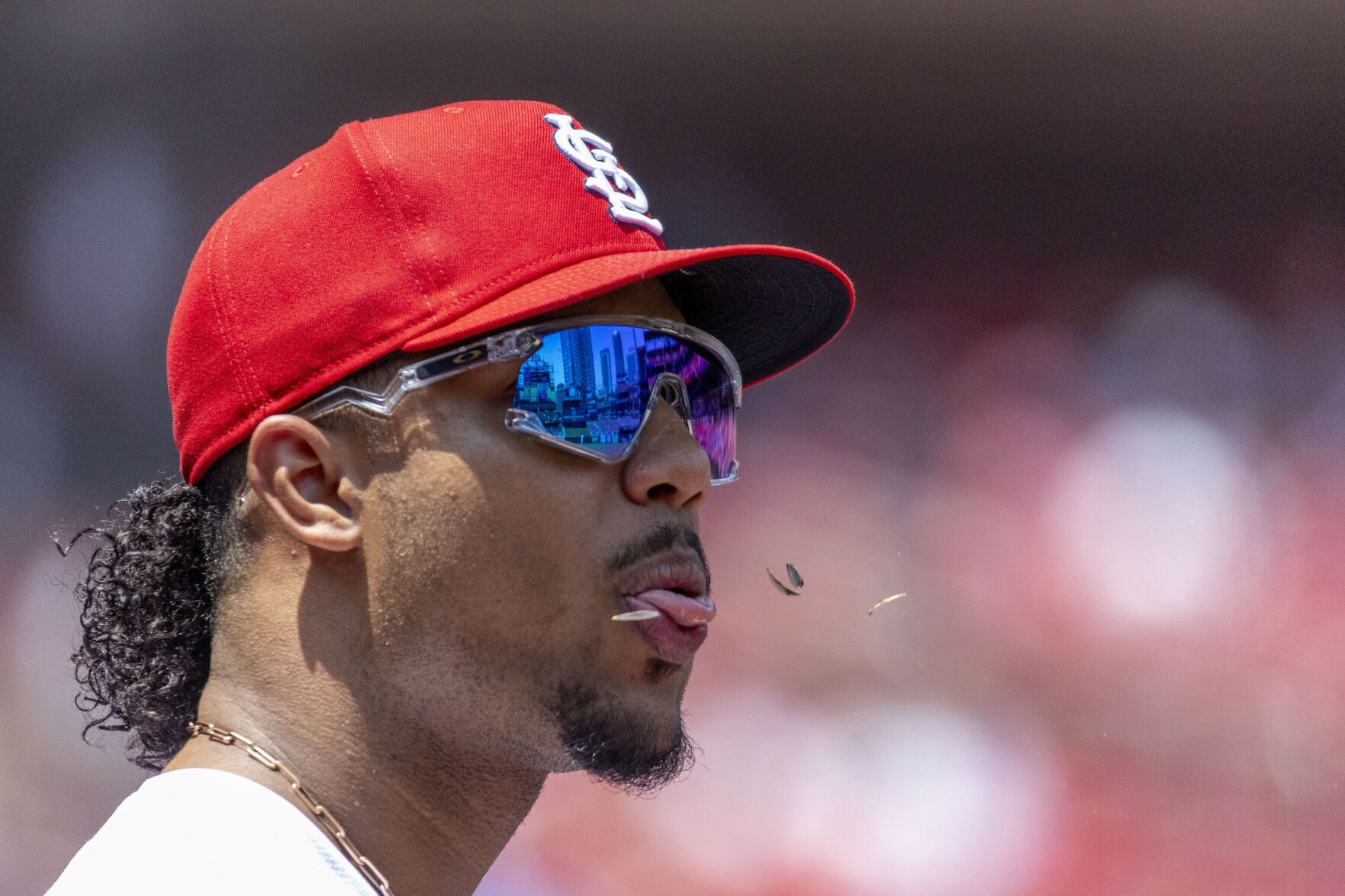 51黑料 Cardinals host Blue Jays